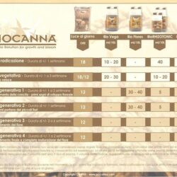 BioCanna - BioBoost - 250 ml